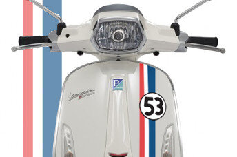Herbie 53 striping
